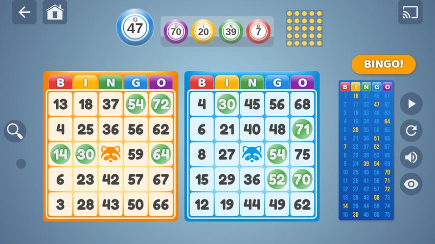 Bingo Set应用截图第0张