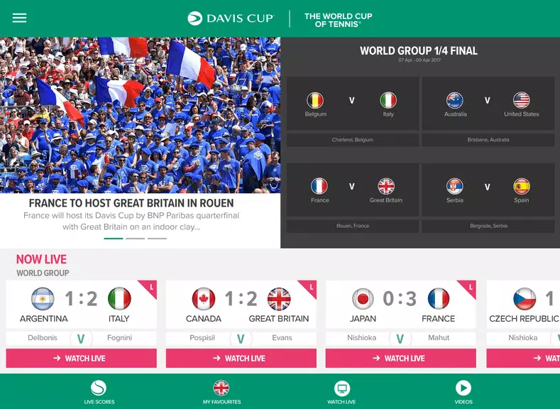 Davis Cup Screenshot 3