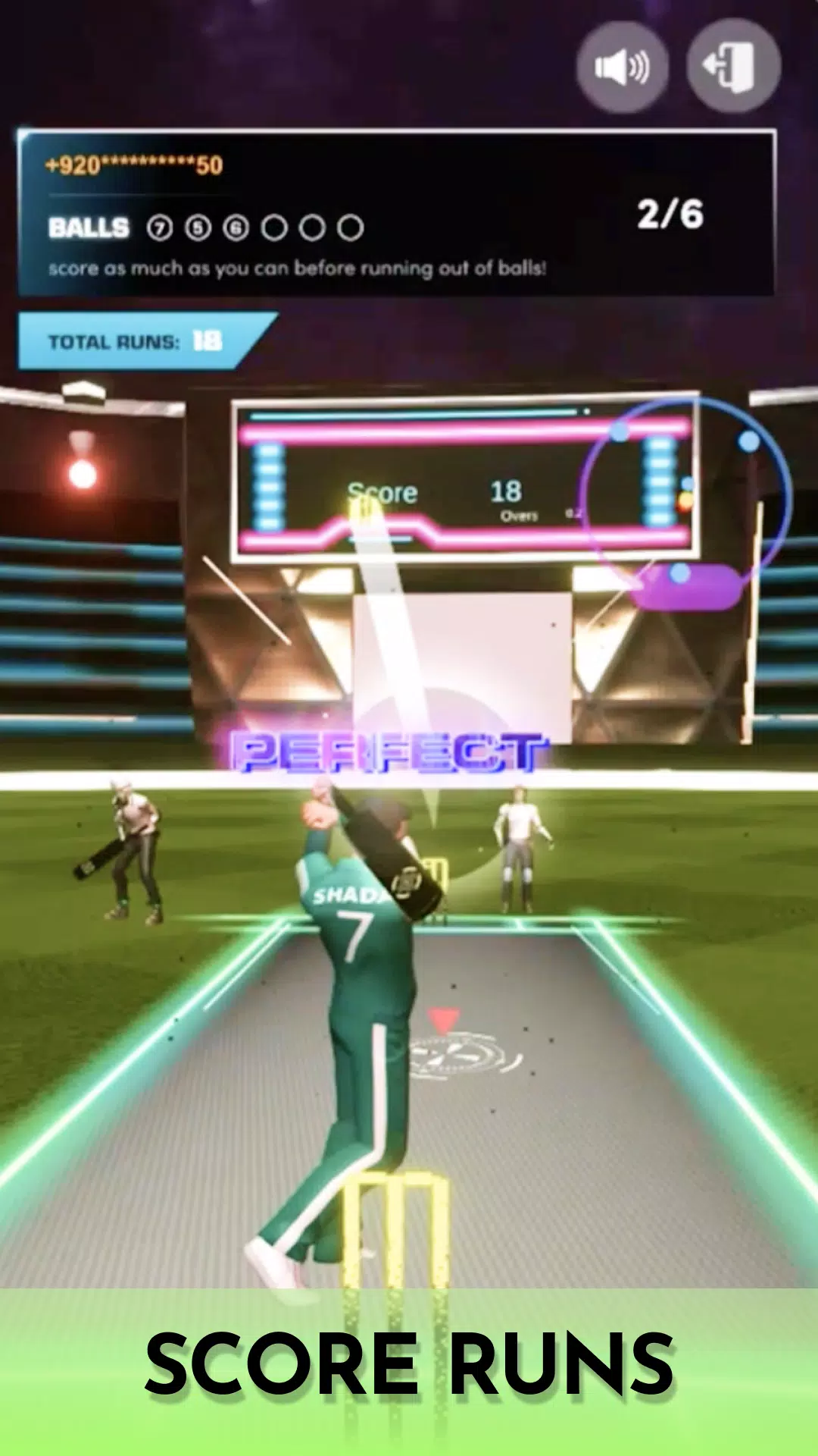 Cricket Fly Screenshot 2