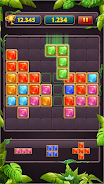 Block Puzzle Jewel Classic Capture d'écran 0