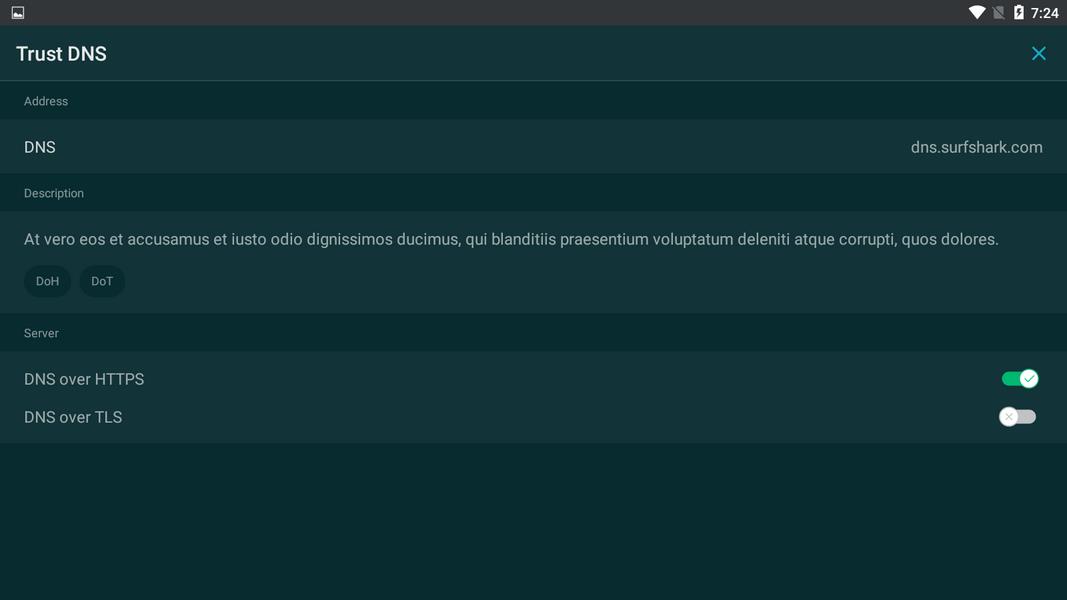 Trust DNS 螢幕截圖 3