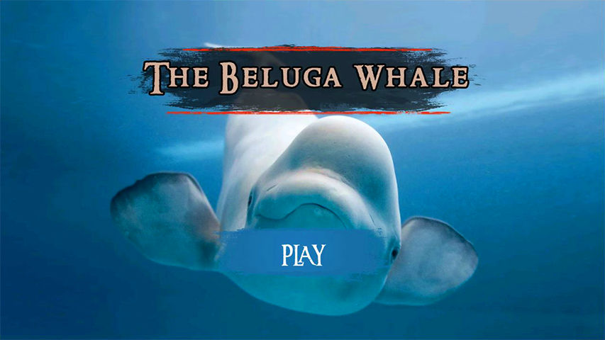 The Beluga Whale Скриншот 2