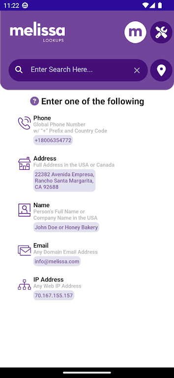 Melissa Lookups Screenshot 0