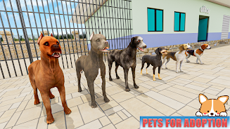 Animal Shelter: Pet World Game ဖန်သားပြင်ဓာတ်ပုံ 1