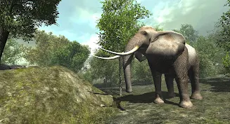 VR ZOO Safari Park Animal Game Captura de tela 3