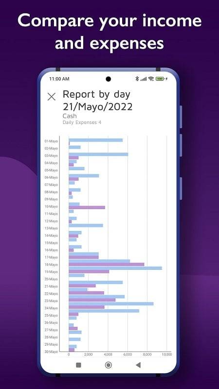 Schermata Daily Expenses 4 1