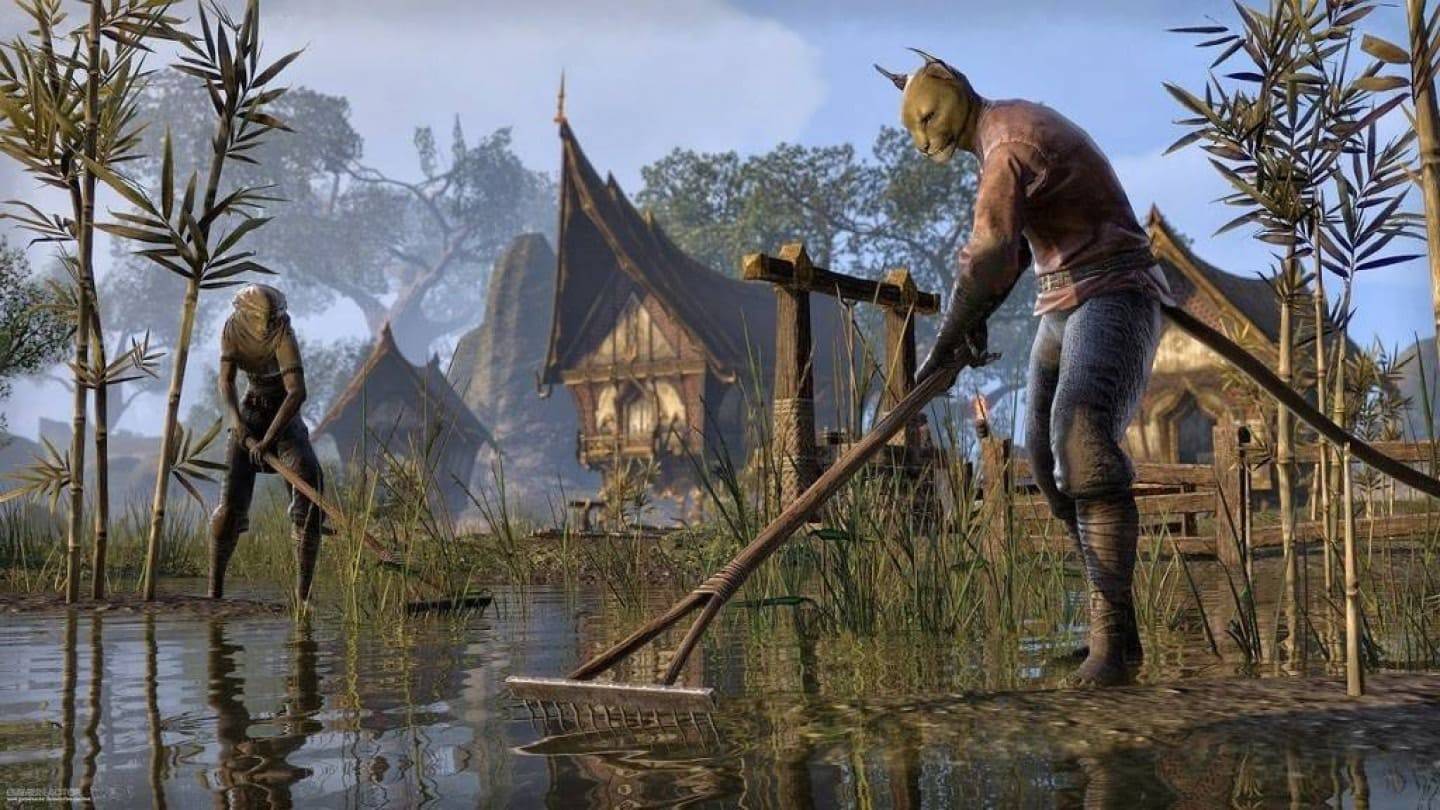 Gamer membelanjakan $ 100,000 untuk menyertai Elder Scrolls VI