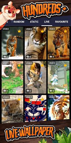 tiger background ภาพหน้าจอ 2