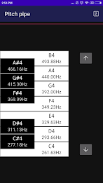 CarlTune - Chromatic Tuner स्क्रीनशॉट 2