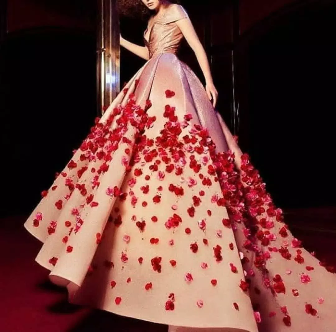 Dress Designs Captura de pantalla 1