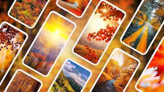 Autumn Wallpapers 4K Ảnh chụp màn hình 0