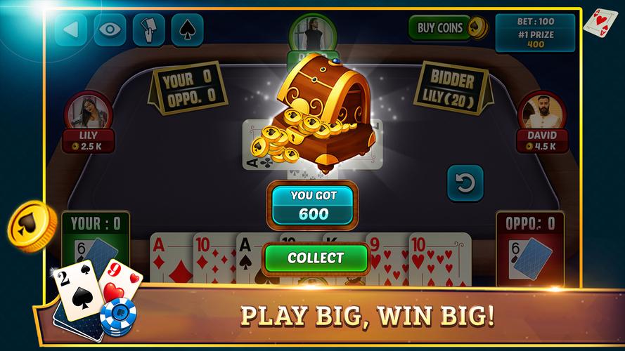 29 Card Game Plus ဖန်သားပြင်ဓာတ်ပုံ 2