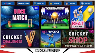 Indian Cricket Championship Captura de tela 3