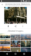 ImageSearchMan - Image Search Capture d'écran 2