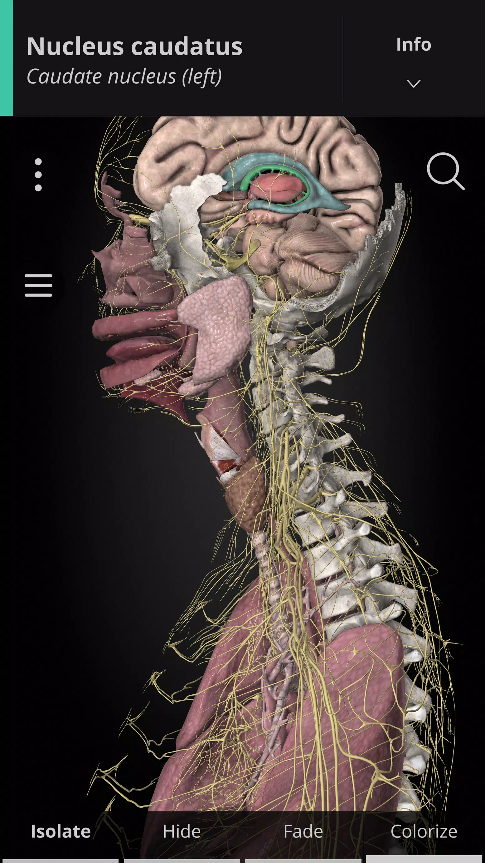 Anatomyka - 3D Anatomy Atlas 螢幕截圖 0