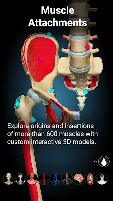 Anatomy Learning - 3D Anatomy Captura de pantalla 3