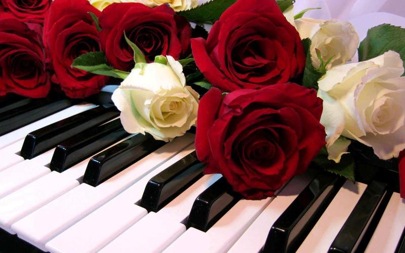 Roses Jigsaw Puzzles Schermafbeelding 3