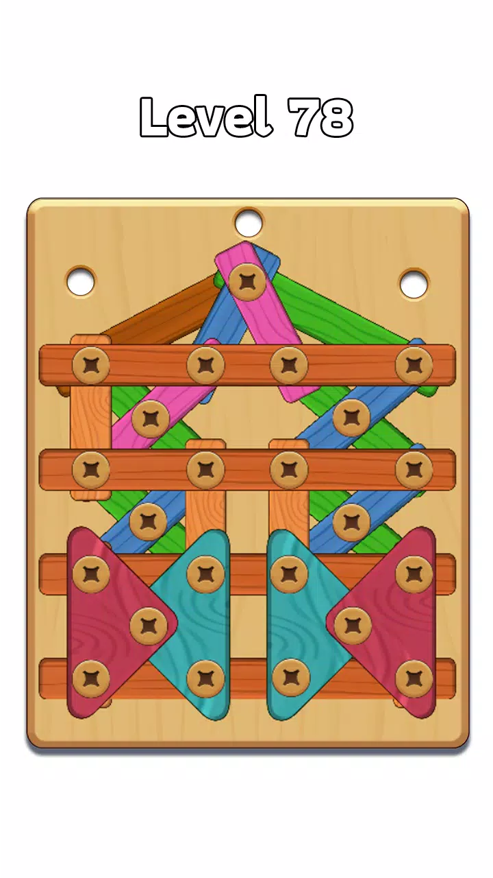 Wood Nuts & Bolt: Screw Puzzle Ekran Görüntüsü 2