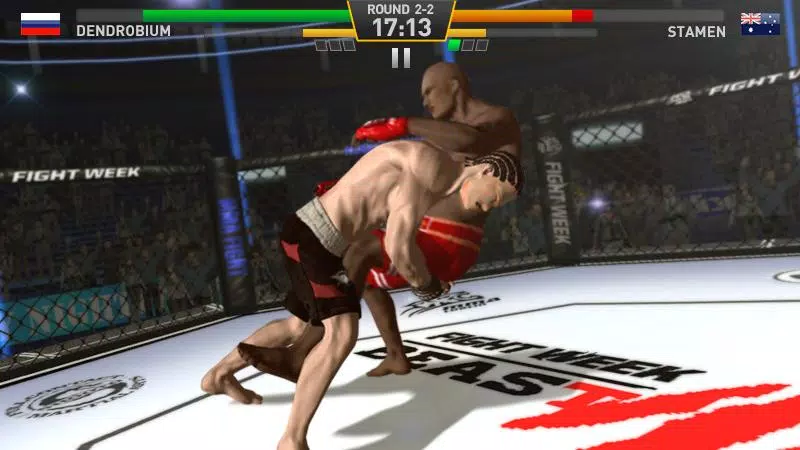 Fighting Star Screenshot 3