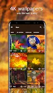 Autumn Wallpapers 4K Ekran Görüntüsü 1