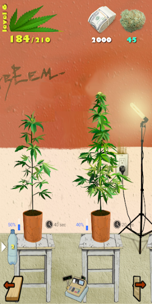 Weed Firm: RePlanted