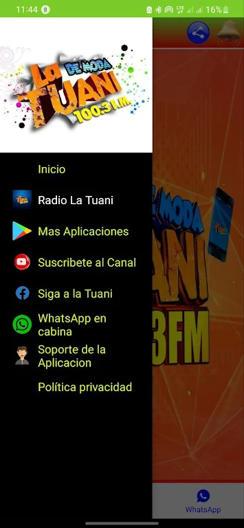 Radio la Tuani - 100.3 FM Captura de tela 2