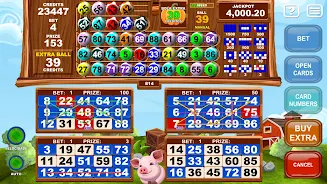 Video Bingo Little Farm Ekran Görüntüsü 0