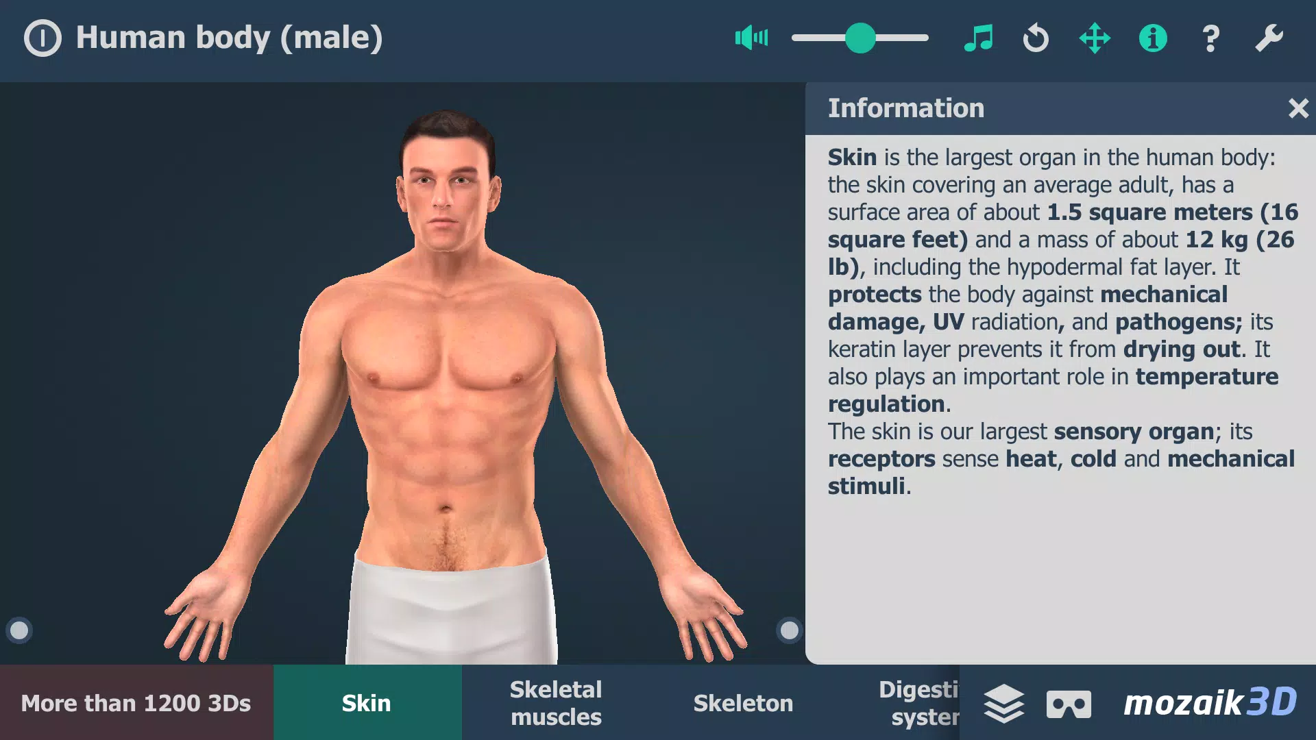 Human body (male) 3D scene Скриншот 0