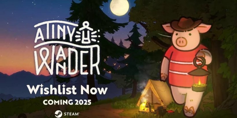 Mystery Delivery: A Nocturnal Adventure