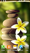 Schermata Zen Garden Live Wallpaper 1