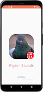 Pigeon Sounds स्क्रीनशॉट 0