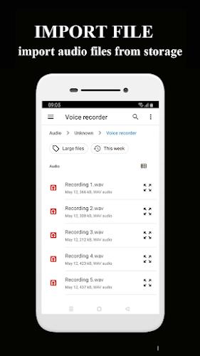 Voice Memos Ảnh chụp màn hình 1