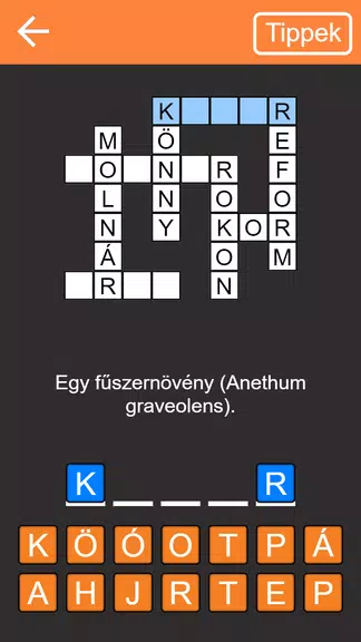 Keresztrejtvény Ekran Görüntüsü 0