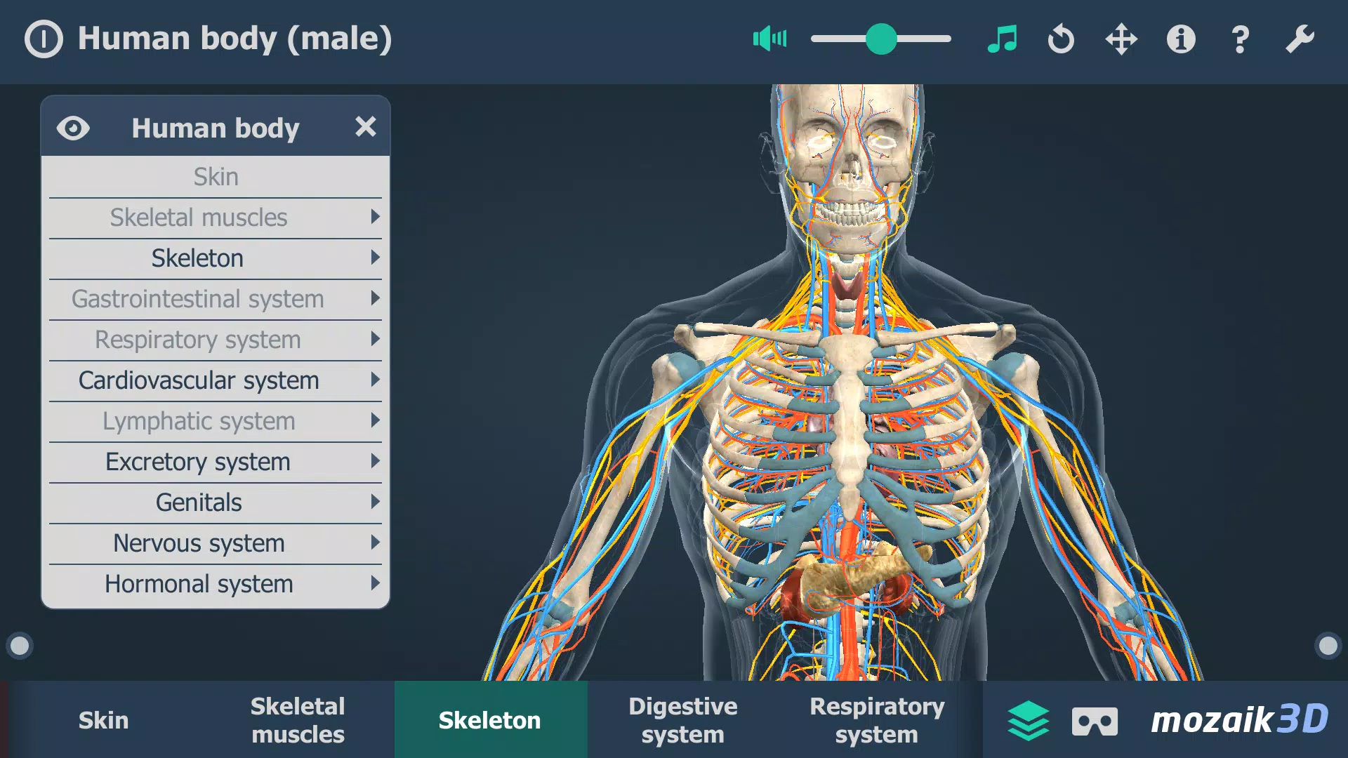 Human body (male) 3D scene 螢幕截圖 3