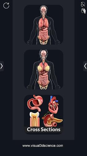 My Organs Anatomy ภาพหน้าจอ 0