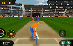 Cricket Unlimited 2017 Capture d'écran 2