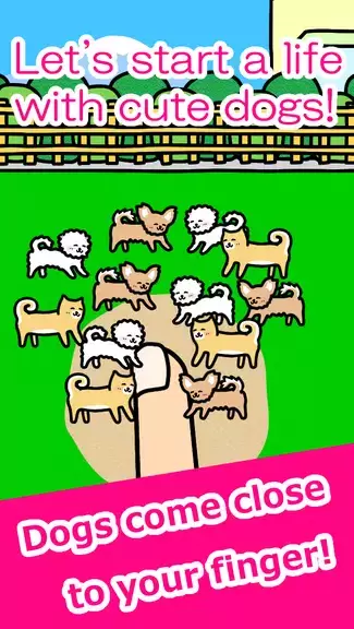 Play with Dogs - relaxing game ဖန်သားပြင်ဓာတ်ပုံ 0