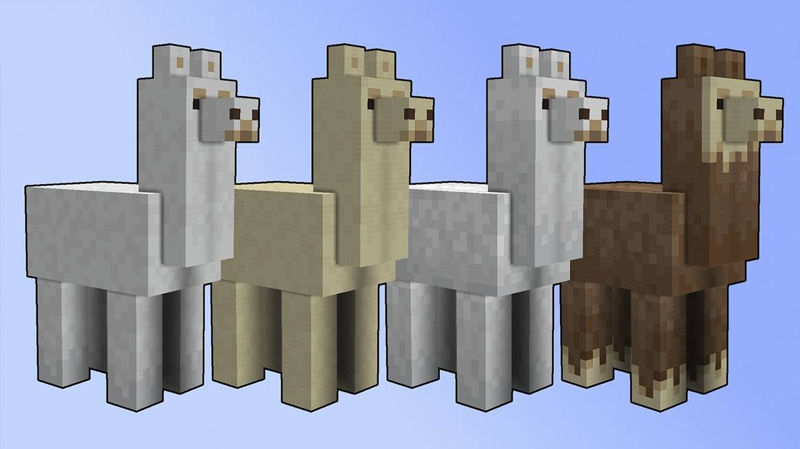 Llamas in Minecraft