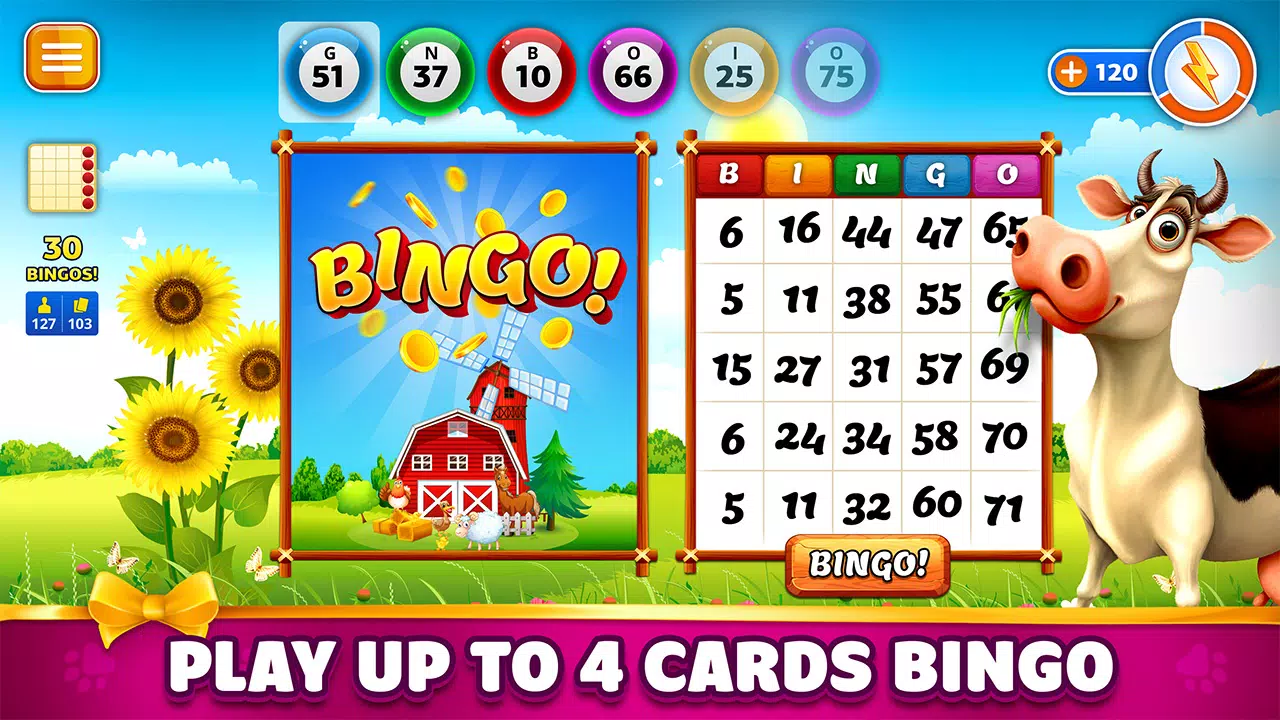 Pet Bingo: Bingo Game 2024 ภาพหน้าจอ 3