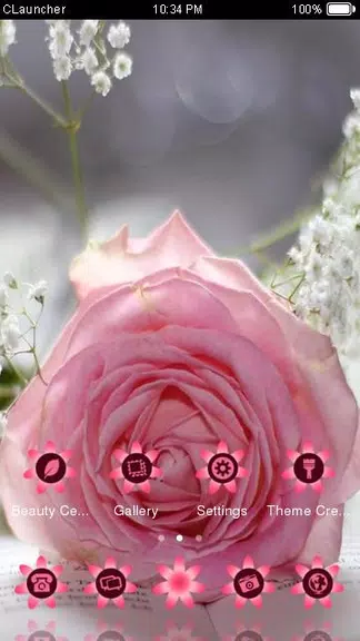 Pretty Pink Rose Theme 螢幕截圖 2