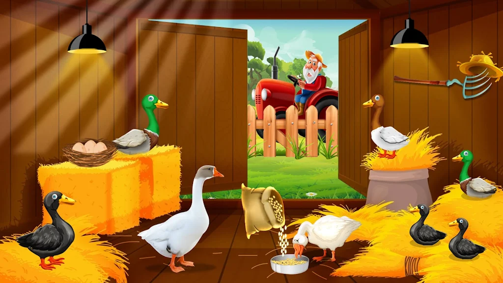 Duck Farm Eggs Chicken Poultry Zrzut ekranu 3