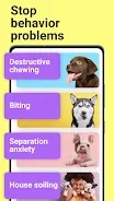 Dog whistle & training app Zrzut ekranu 3