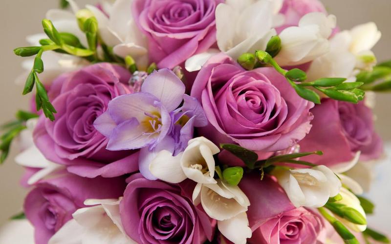 Roses Jigsaw Puzzles Schermafbeelding 1