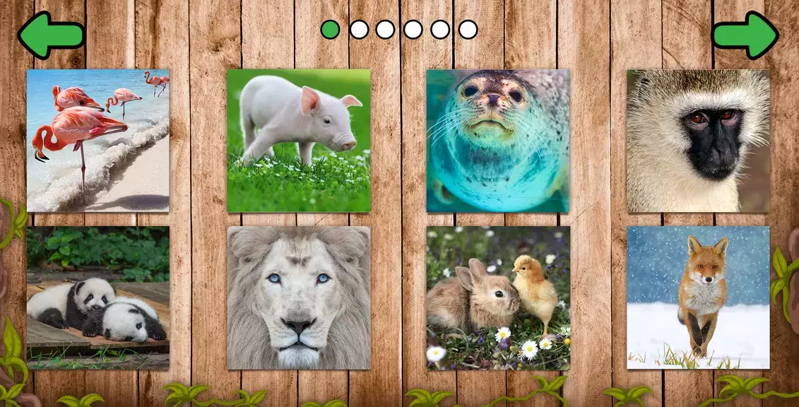 Animal puzzle games offline Ảnh chụp màn hình 1