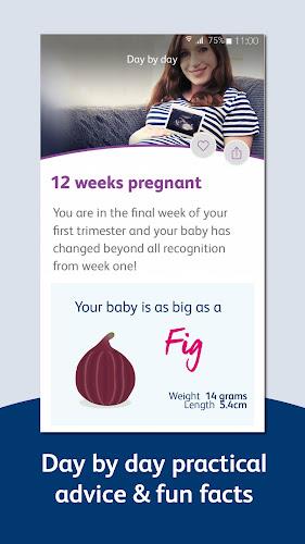 Schermata Bounty - Pregnancy & Baby App 2