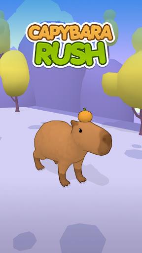 Capybara Rush ภาพหน้าจอ 0