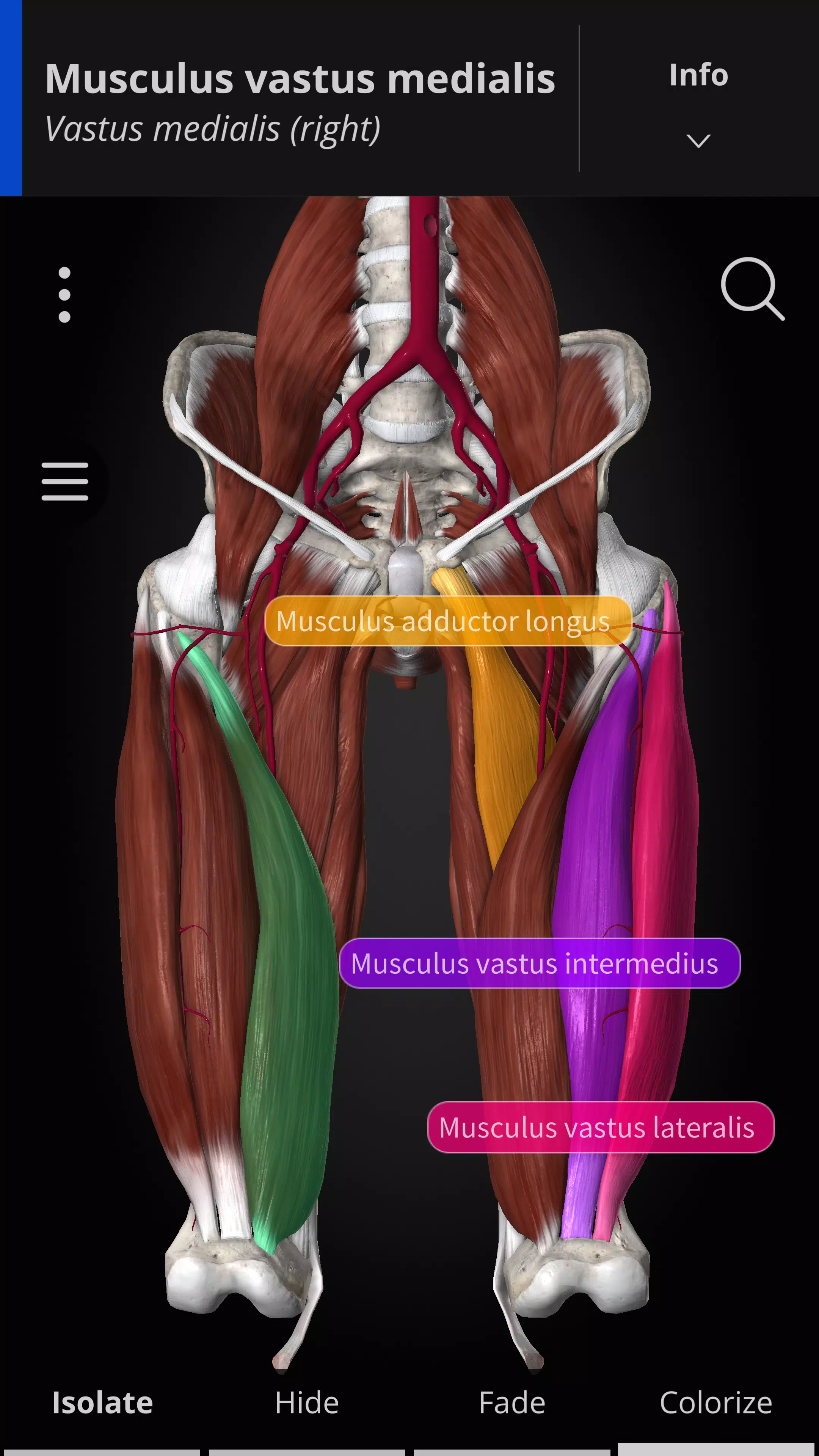 Anatomyka - 3D Anatomy Atlas 螢幕截圖 1