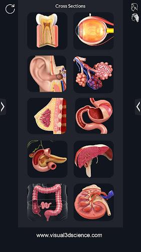 My Organs Anatomy 스크린샷 1