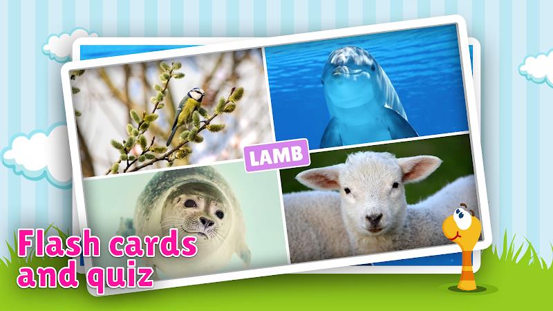 Animal flashcard & sounds Ảnh chụp màn hình 1