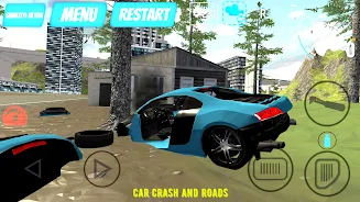 Car Crash And Roads স্ক্রিনশট 0